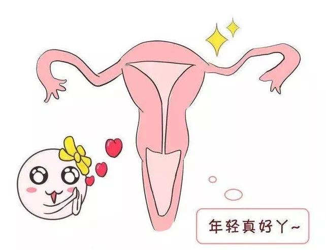 揭秘卵巢保养,amh能决定卵巢年龄吗