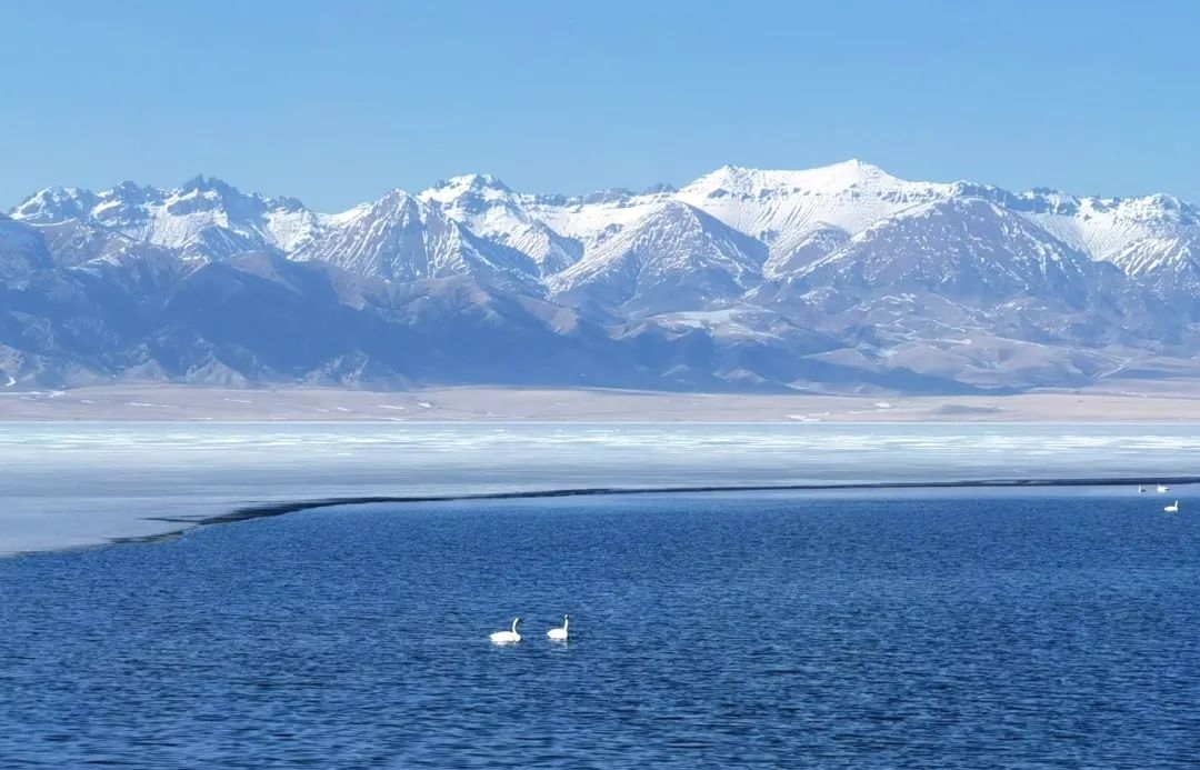 那拉提空中草原雪景照片,大草原的壮丽雪景图