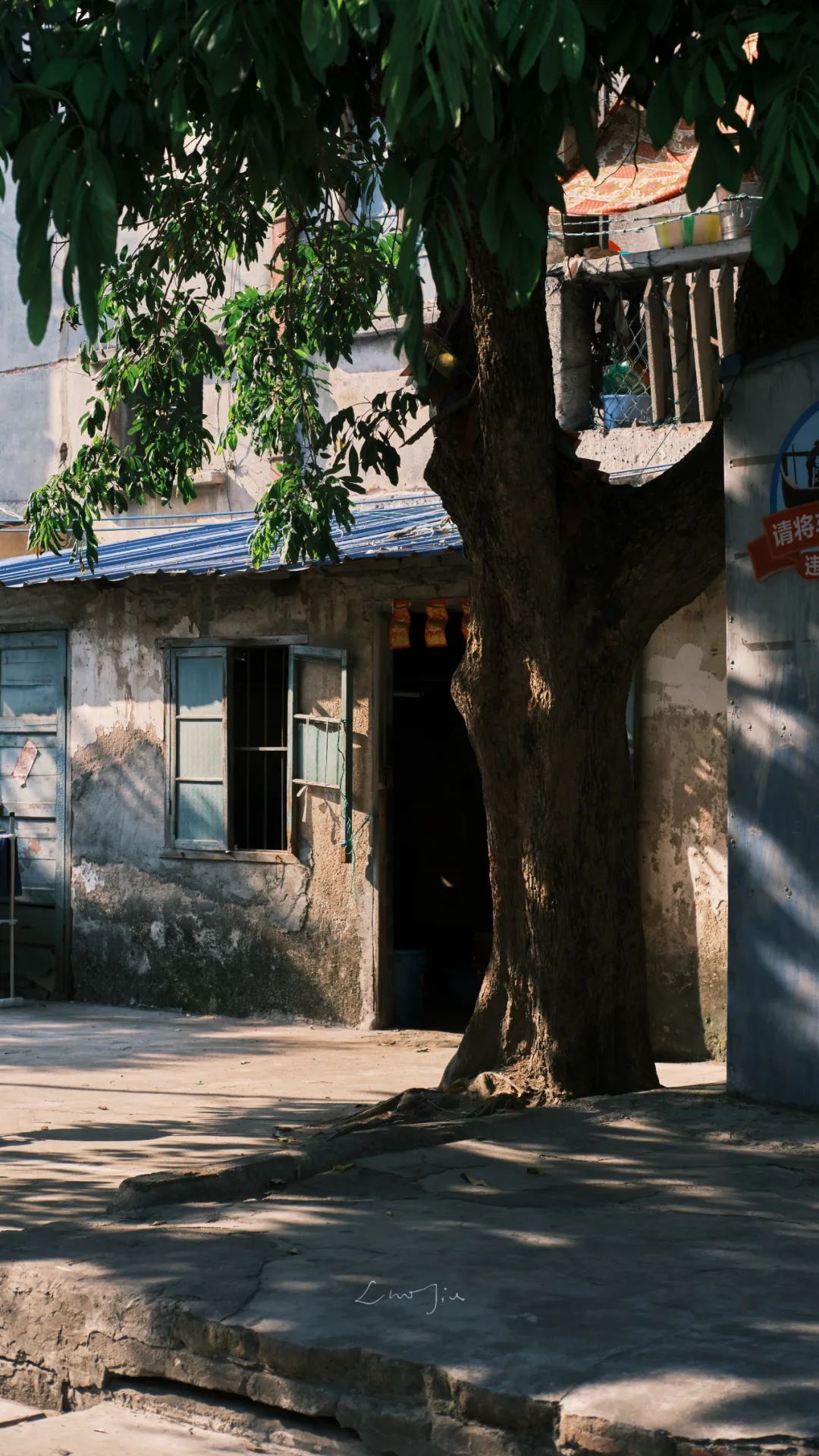 你根本没有去过侨港