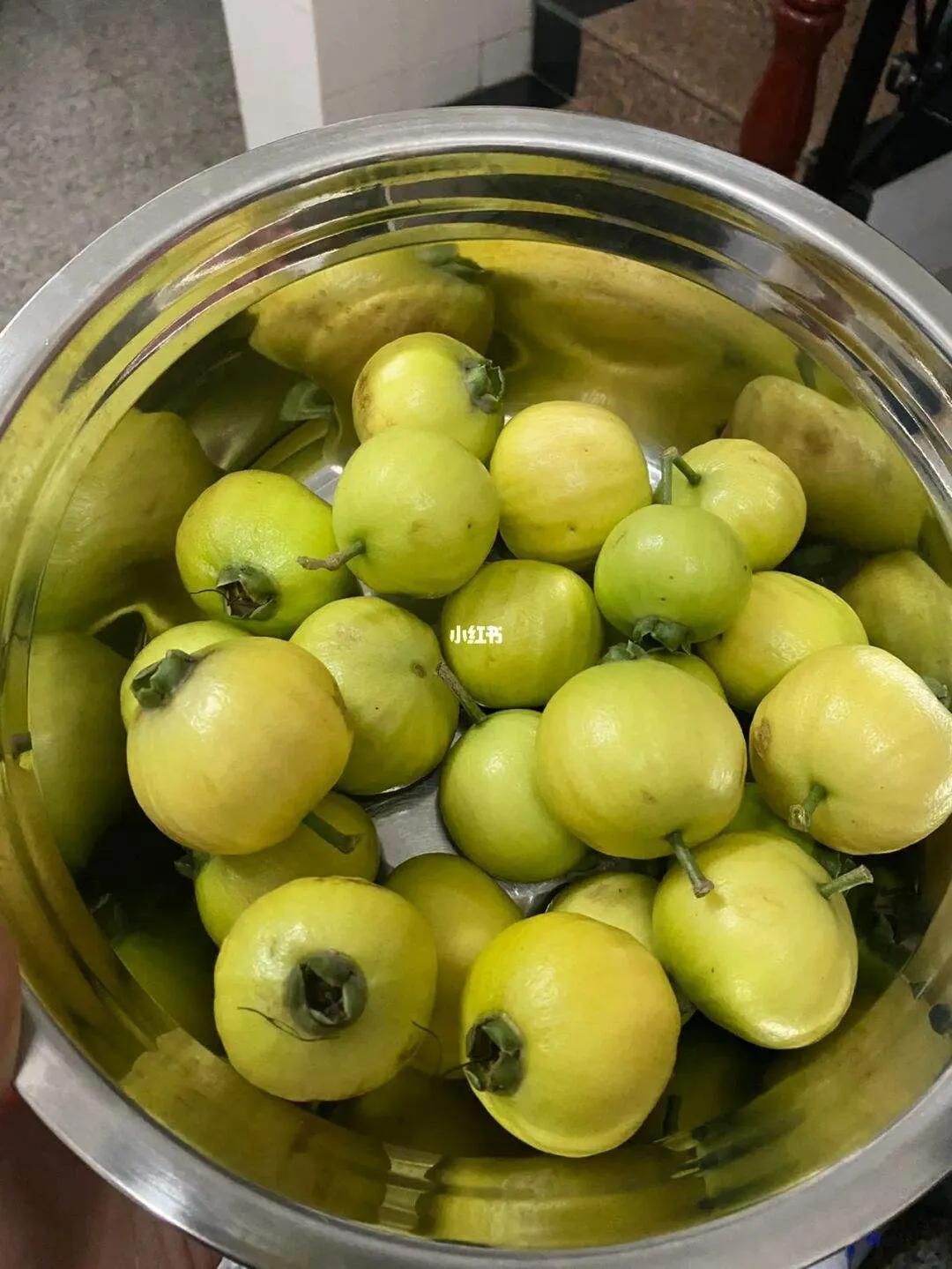 产量最高的四大水果,广东最大的水果产地是哪里