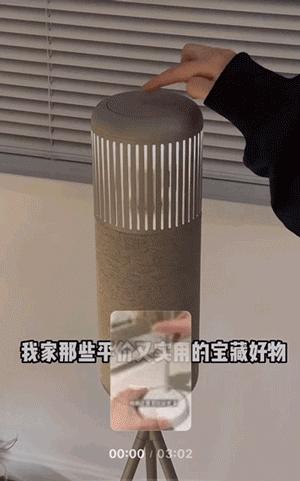 瀛︽牎绉嶅瓙閫夋墜,瀵濆澶村彿绉嶅瓙閫夋墜