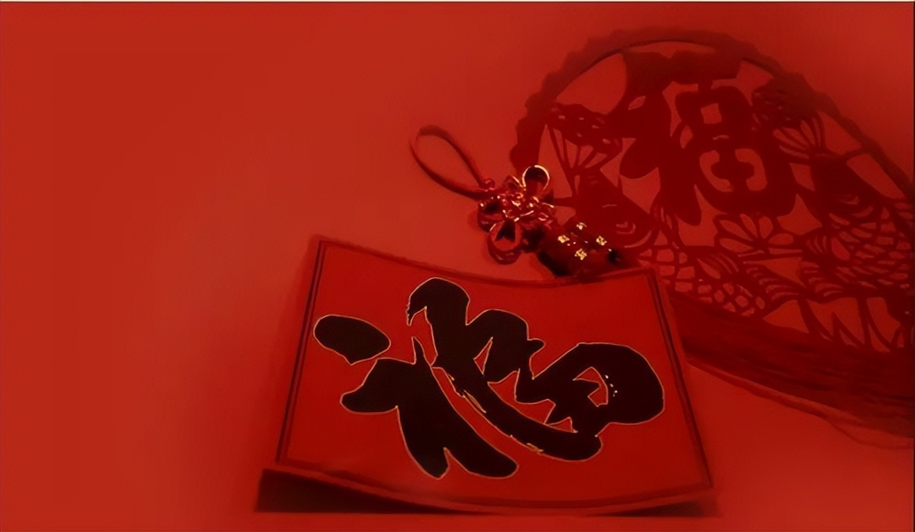 盆栽黄金树的寓意和象征,过年必备寓意好金钱树盆栽