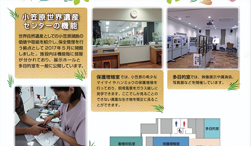 小笠原群岛旅游攻略,日本小笠原诸岛游记