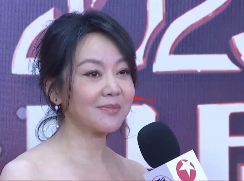 万茜张萌参加盛典的图片,李小冉出场美艳众人