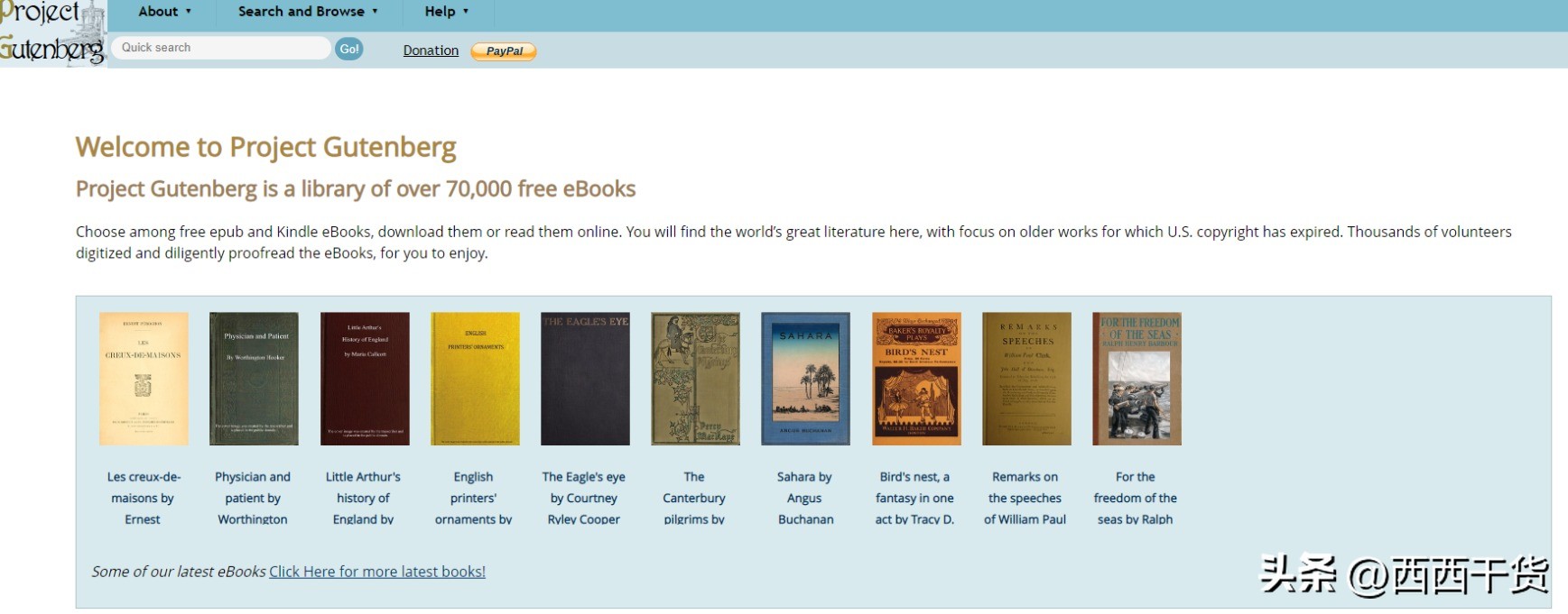 最好用电子书网站,什么网站可以免费获取电子书