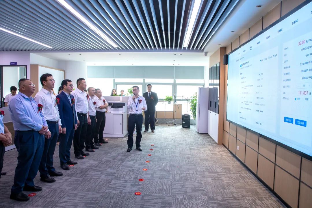 广西钦州市钦州港最新项目,钦州港片区最新项目