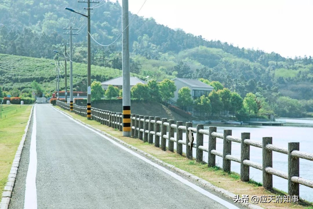 来南京不能错过的小众打卡地,南京江宁小众打卡点