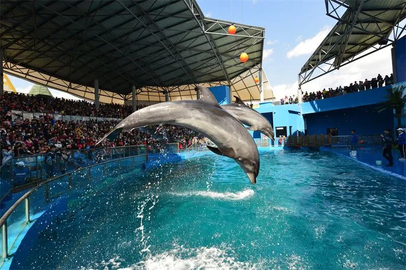 关注|@全国考生来云南这些景区，优惠、免费！