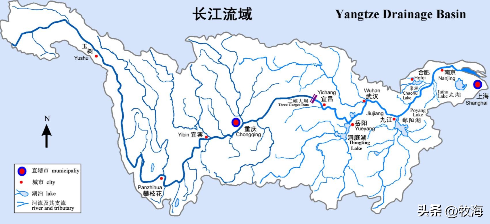 野河里的鱼都浮出水面怎么回事,野生河鱼在水面是怎么回事