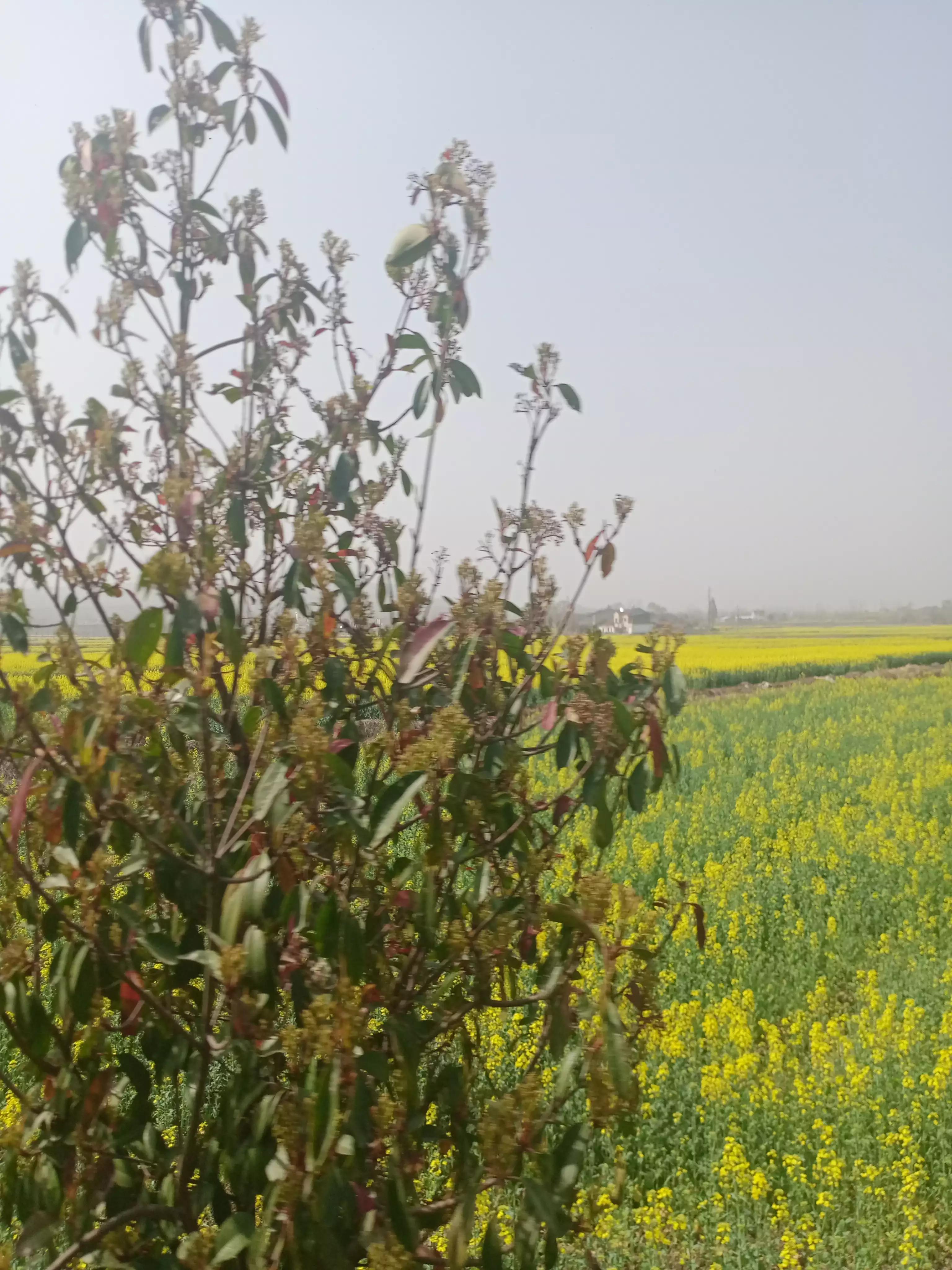 郭金海经典诗词,郭金海诗词大全