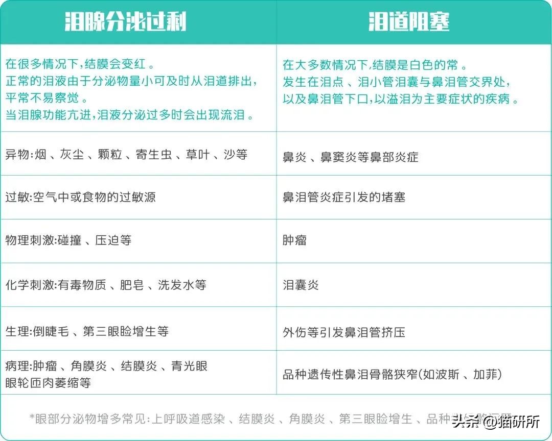 猫咪脸上有眼泪怎么办,猫咪脸上的泪痕怎么解决