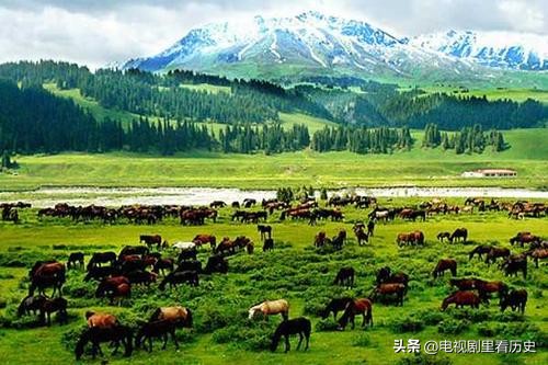 合作抗美容易，放下恩怨困难！俄罗斯难成朋友，但这会还离不开它