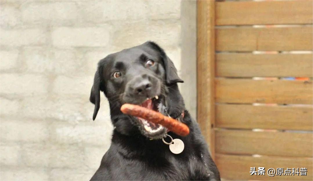 添加剂最多的十大零食，你还在给孩子买吗？