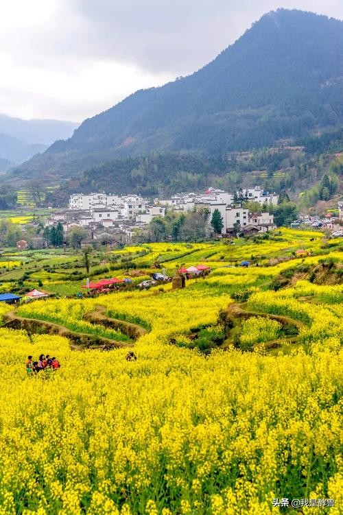 曾经占据江西半壁江山的四特为何如今江西本地人都不买单？