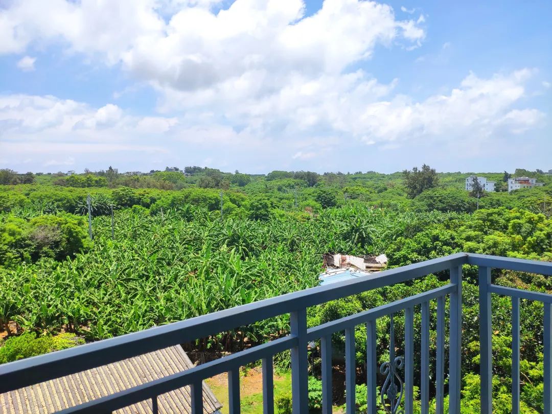 北海涠洲岛上买海鲜怎么避坑,北海涠洲岛有什么好玩的推荐