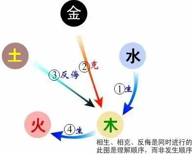 中医五行相生相克图表,倪海厦老师讲中医五行相生相克