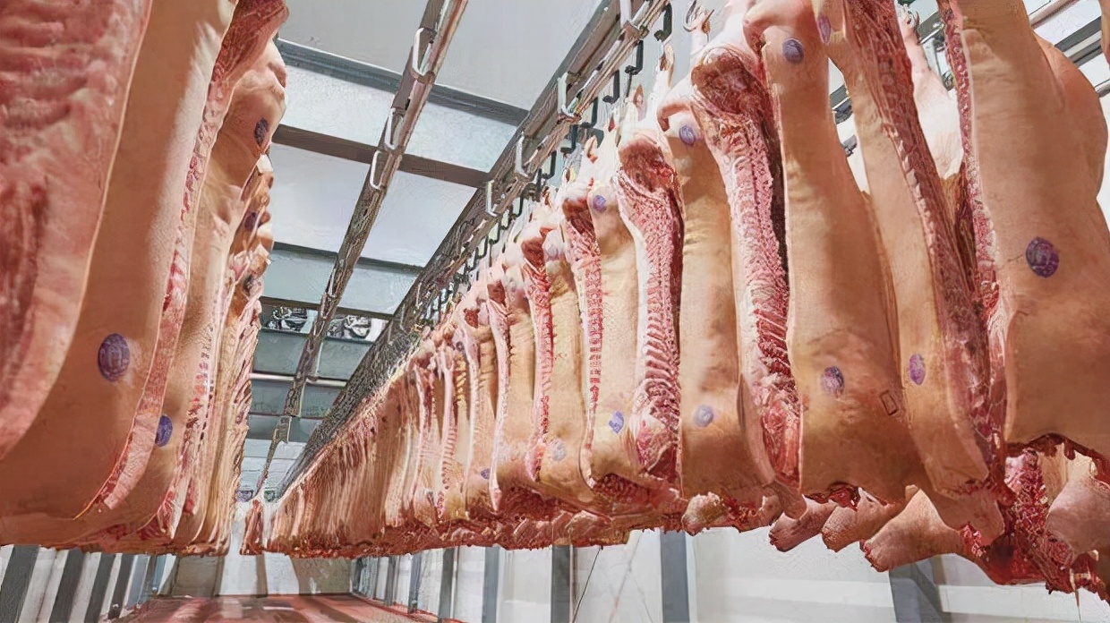 未来5年猪产业前景,未来3年生猪发展趋势