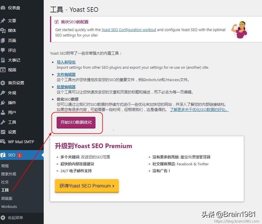 wordpress更新插件报错,wordpress网站迁移插件