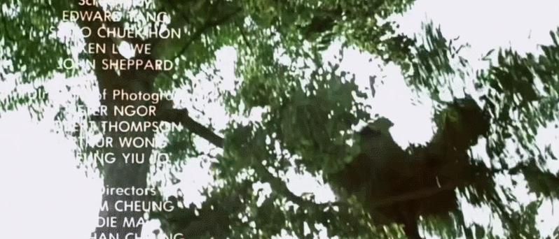 谢霆锋的手，黄晓明的脚，赵丽颖的血栓，让多少“流量明星”脸红