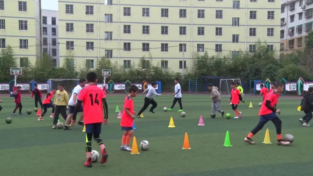 遵义足球儿童训练营,遵义满天星训练营文化课