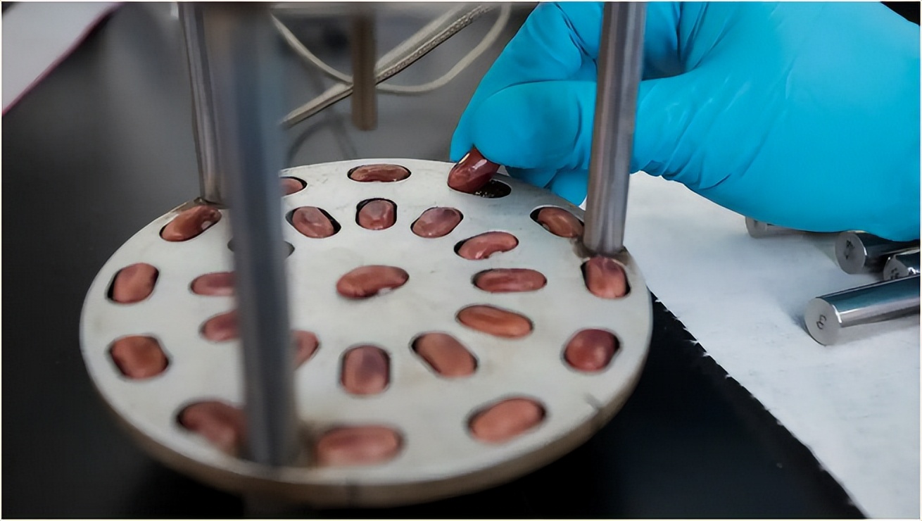 种子基因库,种质库是保护基因多样性的吗