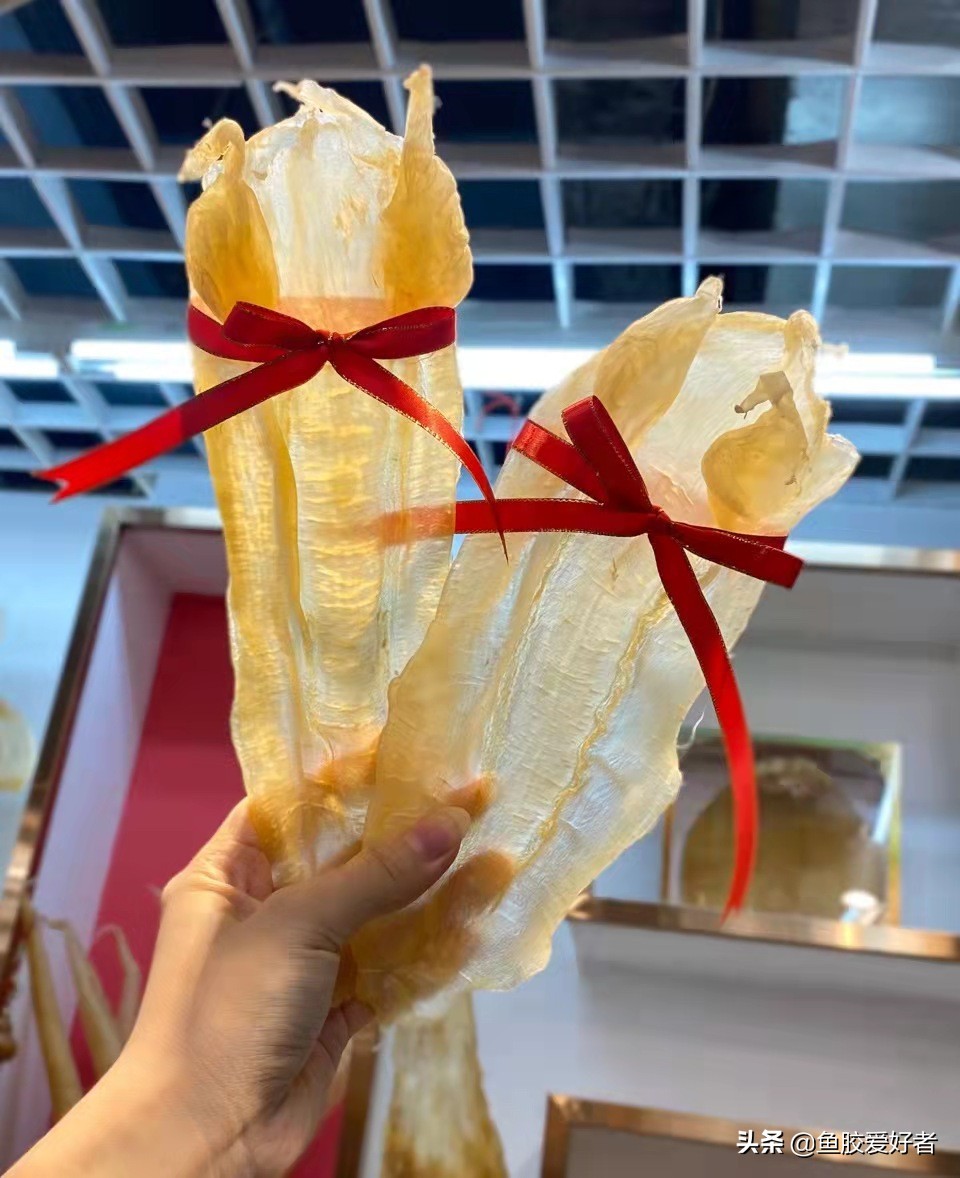 鱼胶全球产地分布图,买鱼胶哪些产地最正宗