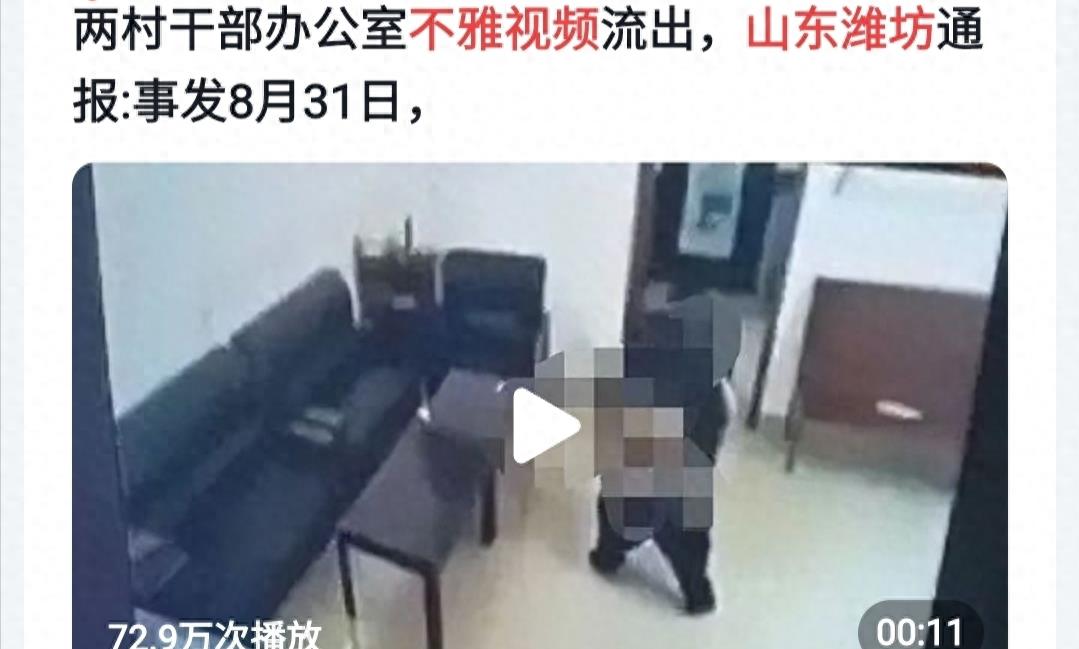 村干部事件最新消息,村干部真实事件