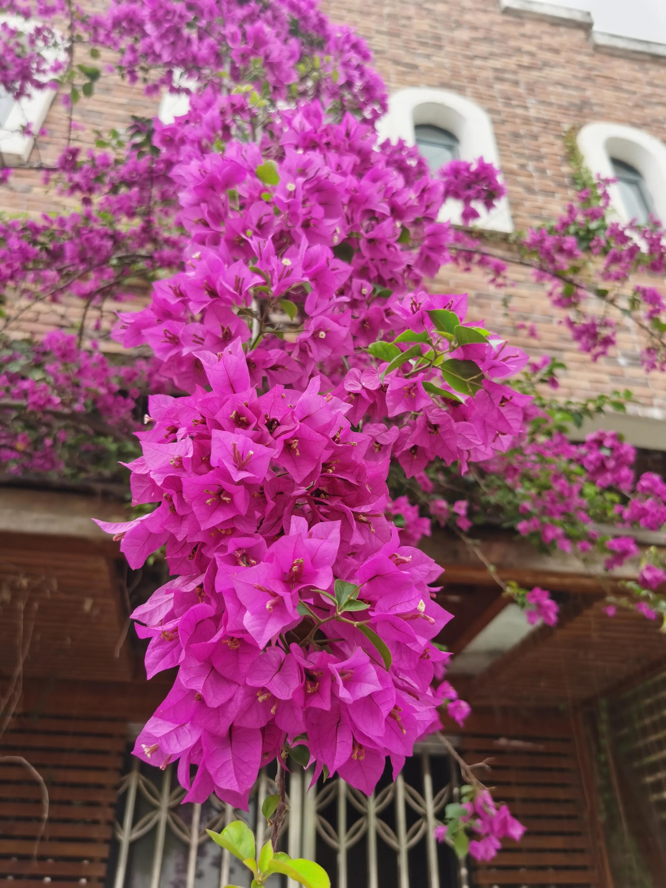 100种迷人的“数字花”,从零到一百万,真是太神奇了