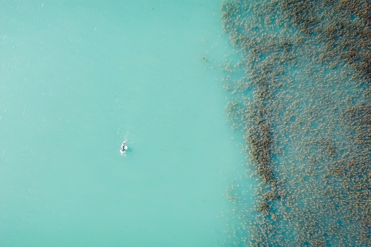 文献检索实用教程题库及答案,文献检索内部教程