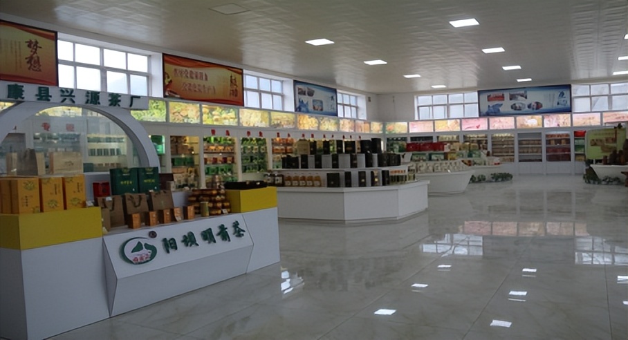 陇南康县电商办,康县土特产电商