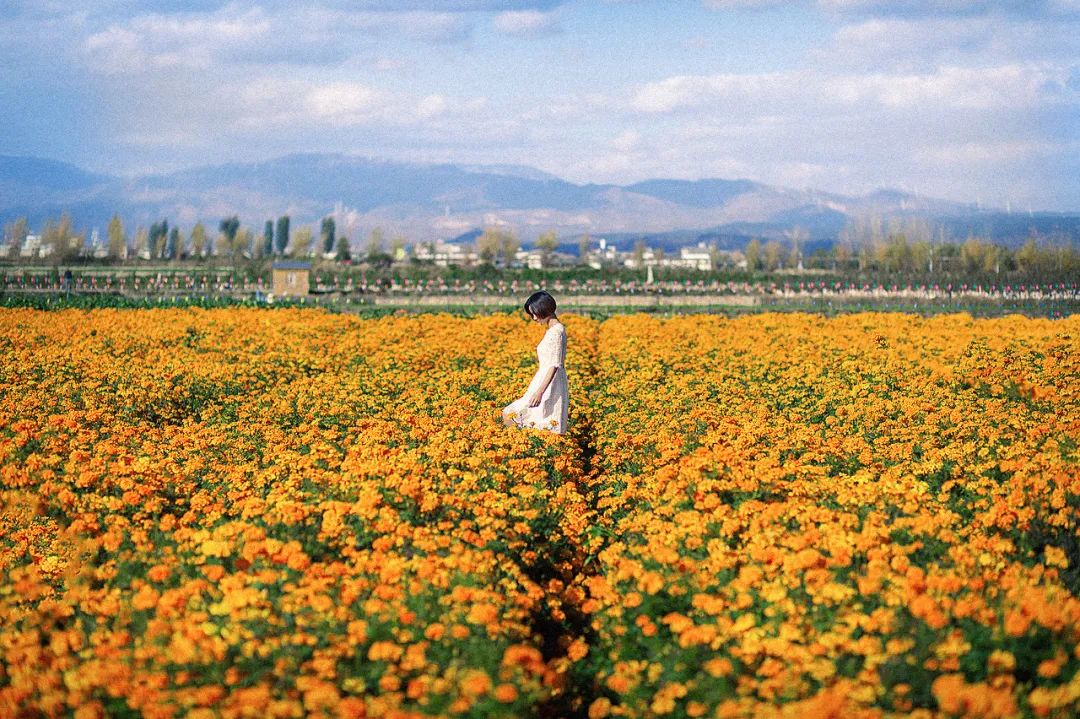 心存幻想的期待是所有痛苦的根源,期待是痛苦的根源下一句