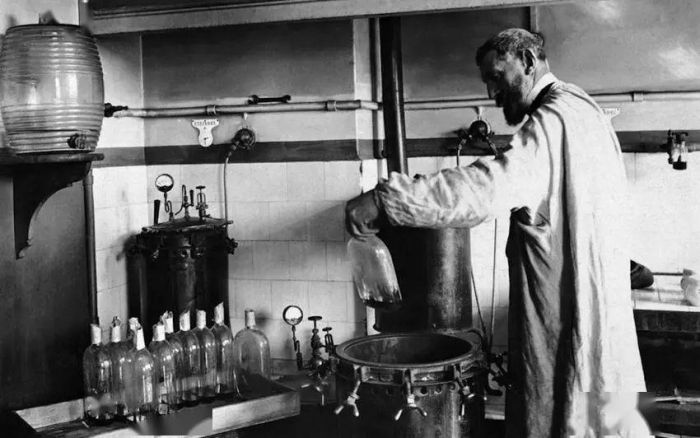 维生素的过去,维生素的衰减周期