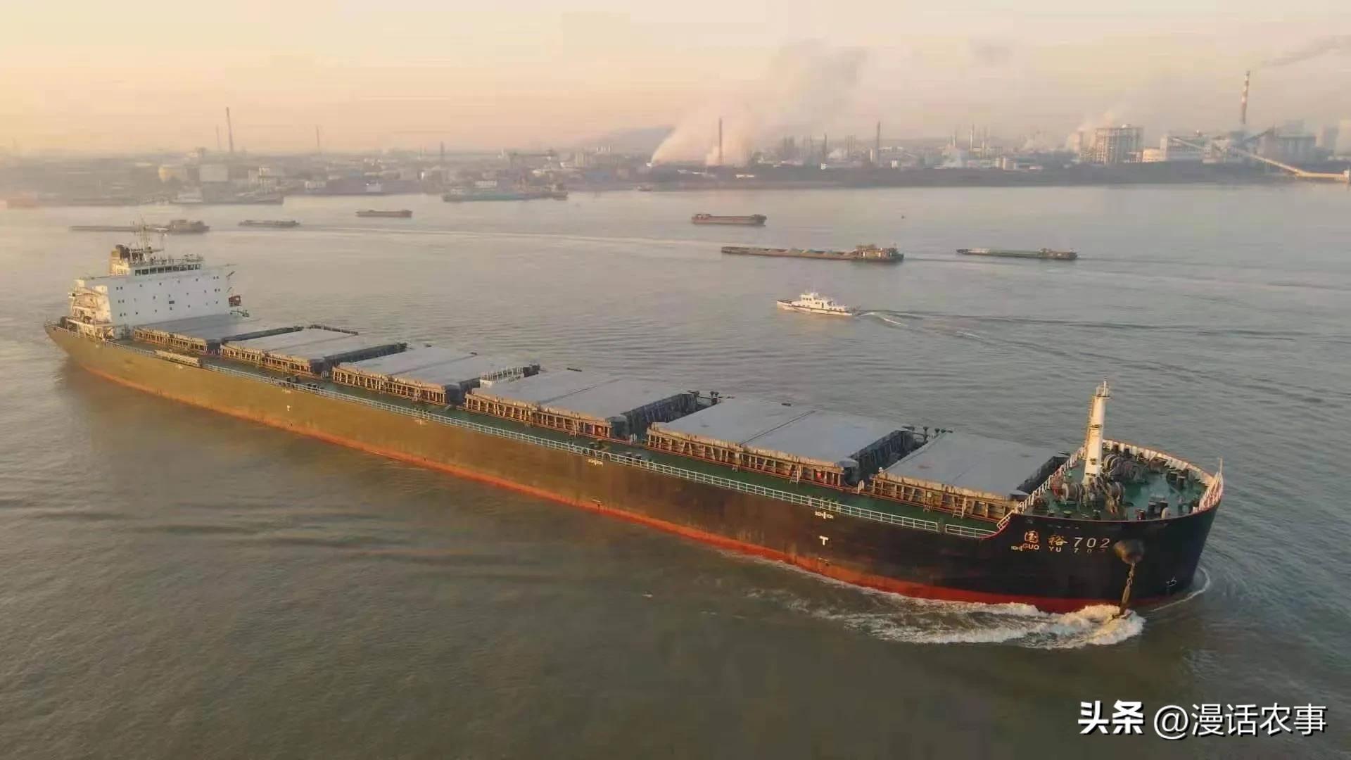 为什么国外的粮食价格这么低 (中国粮食价格为什么比进口的高)