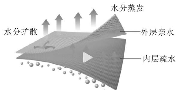 燃脂背心,运动背心哪种材质最好