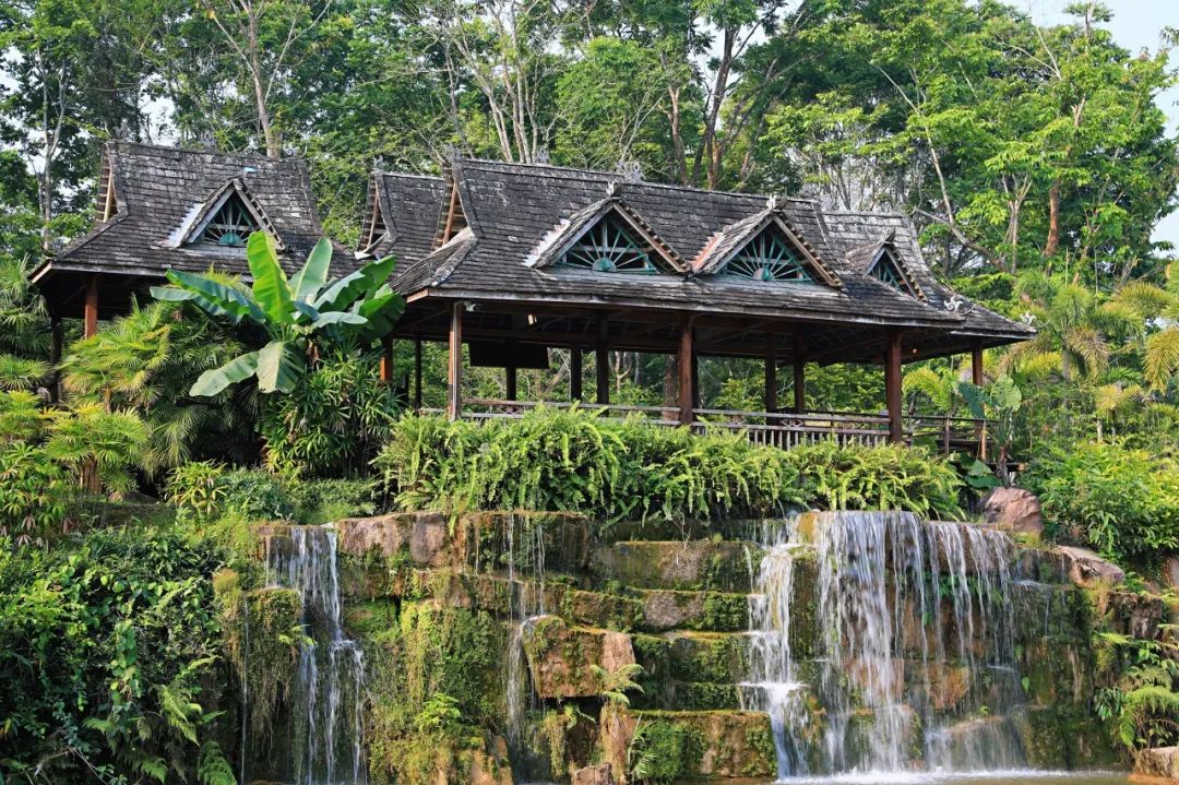 西双版纳体验雨林,吃遍热带水果西双版纳