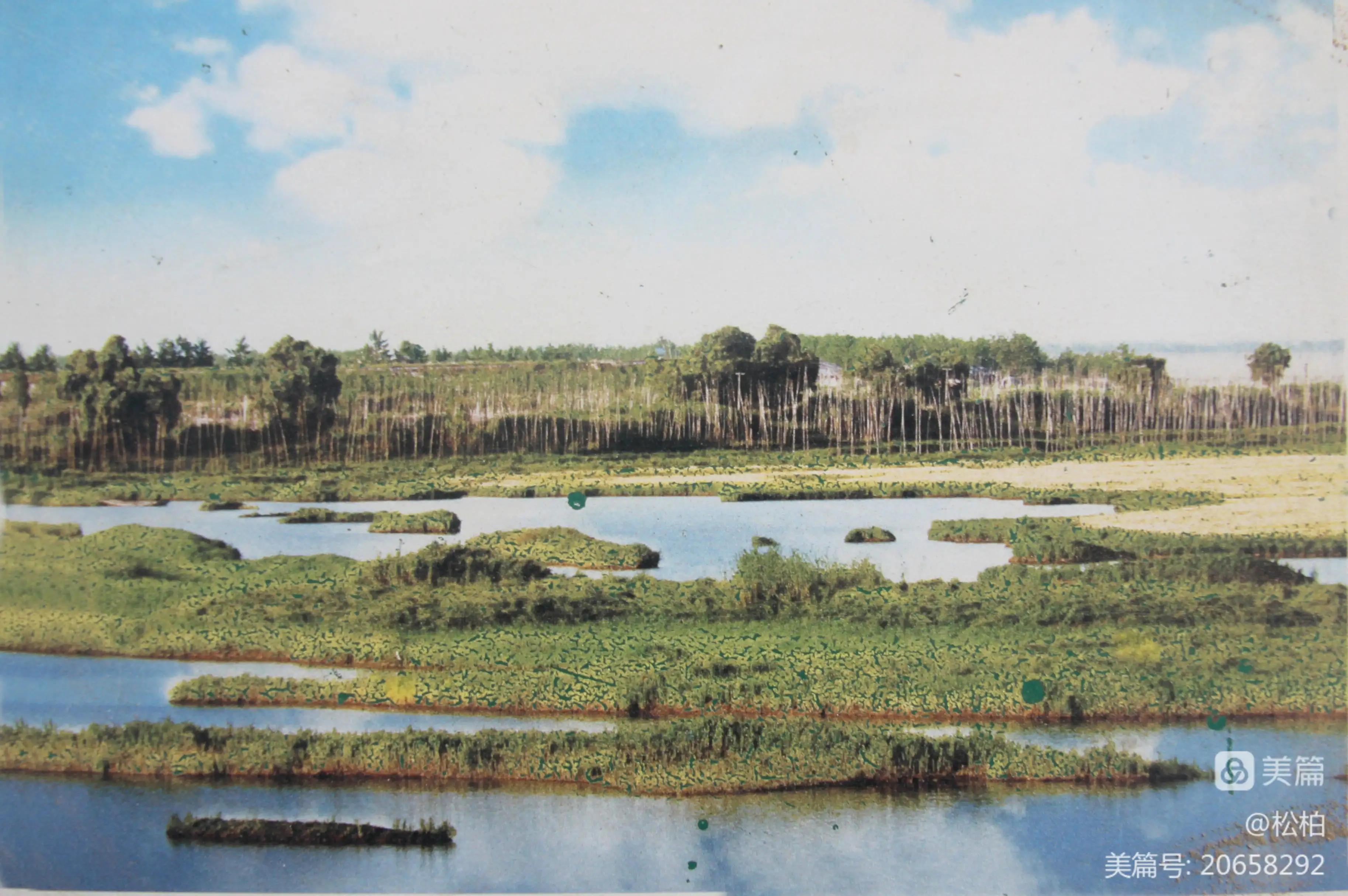 【松柏】诗图战友情（二十一）沙湖沔阳州