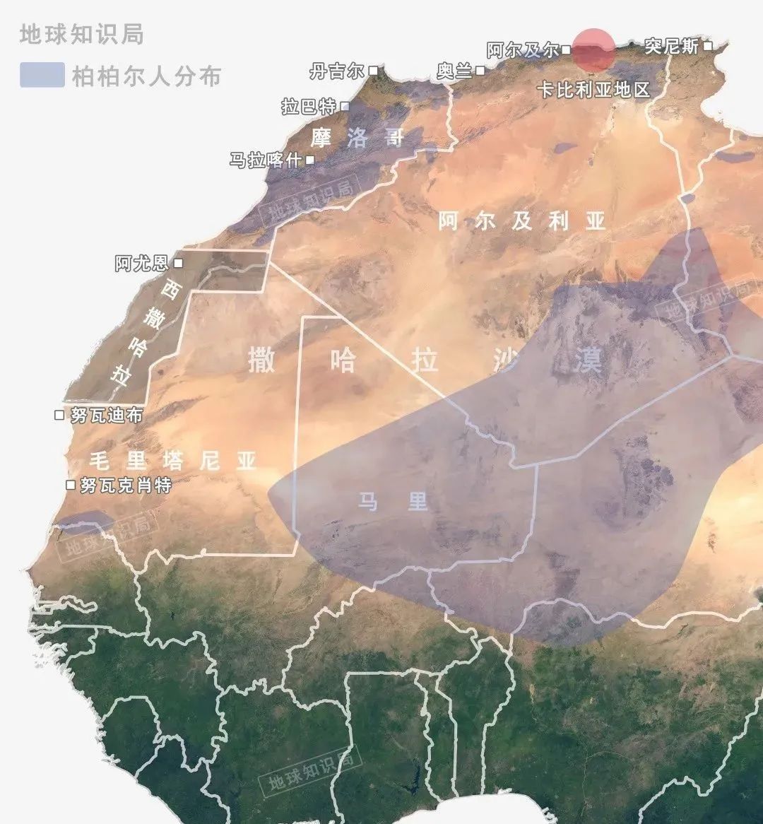 非洲军备竞赛，太卷了