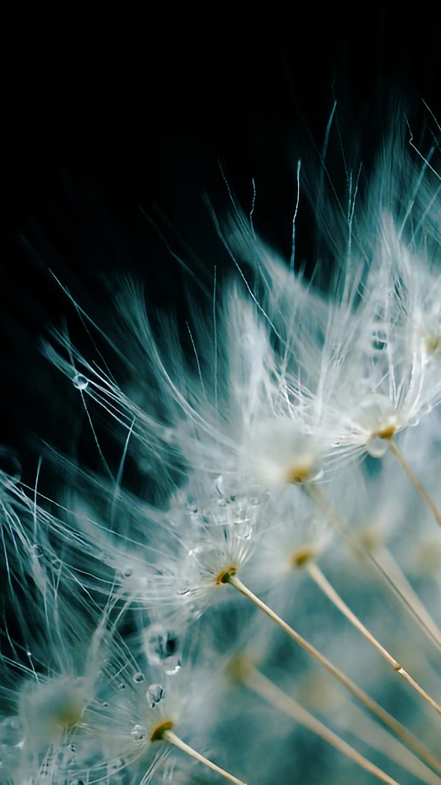 好看的手机桌面壁纸和锁屏壁纸,总有一张壁纸适合你手机屏保精选