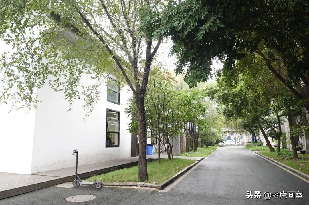 老鹰画室精品班和进阶班,成都老鹰画室和成都艺考画室