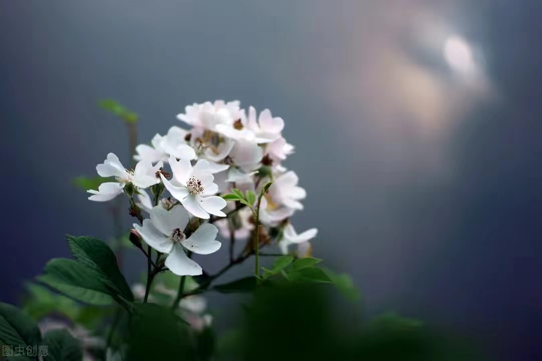 如何积累故事素材您知道吗?现在就来学习积累优质故事素材的方式