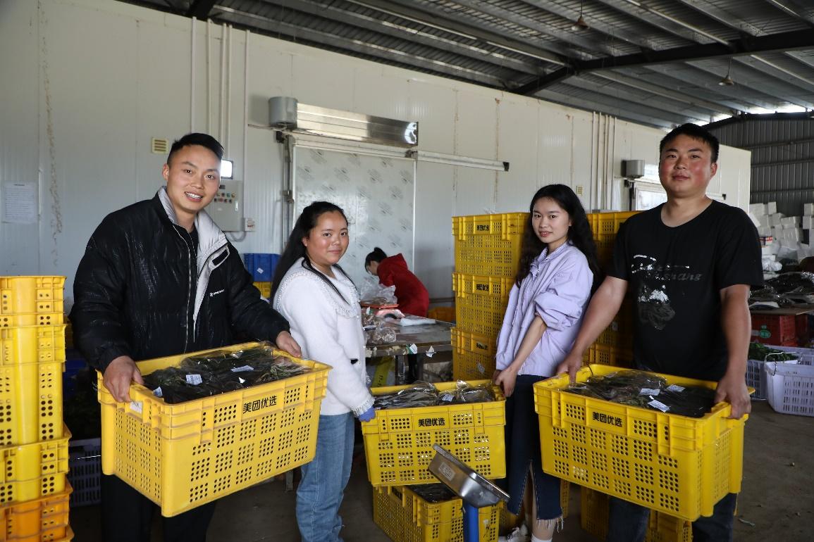 小蕨菜拉动本地就业新思路78岁村民空闲时还能赚钱