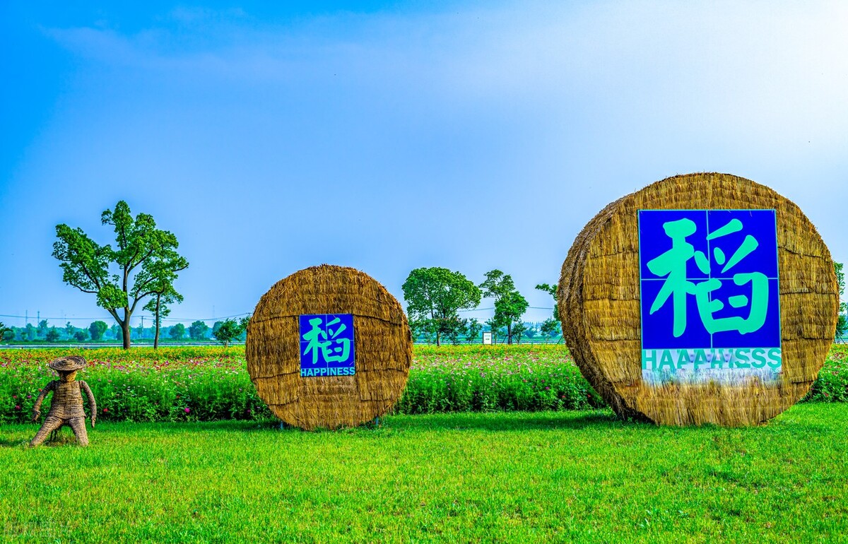 上海踏青2022,上海踏青最佳景点2021