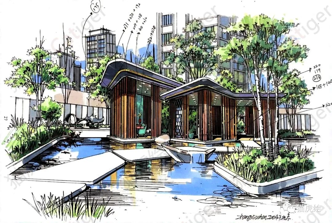 2022猫虎绘暑假手绘班招生简章「线上+线下」