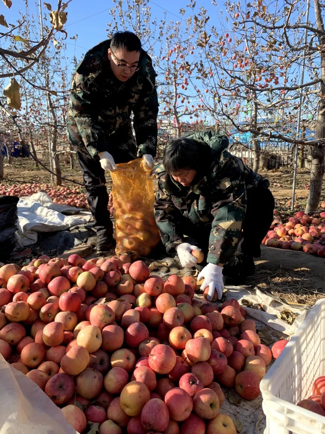 返乡创业新农业人,90后新农人返乡创业