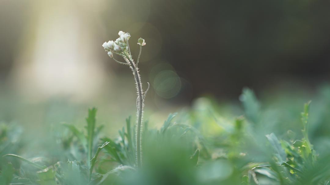 秦皇岛海滨城市生活,体验一下秦皇岛的风土人情