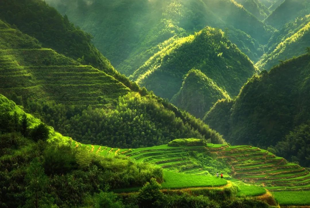 浙江十大公路自驾,浙江神仙居自驾游2-3天推荐