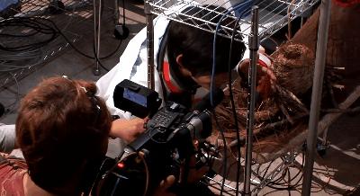 日本特摄中的帅哥,日本特摄剧主角颜值标准