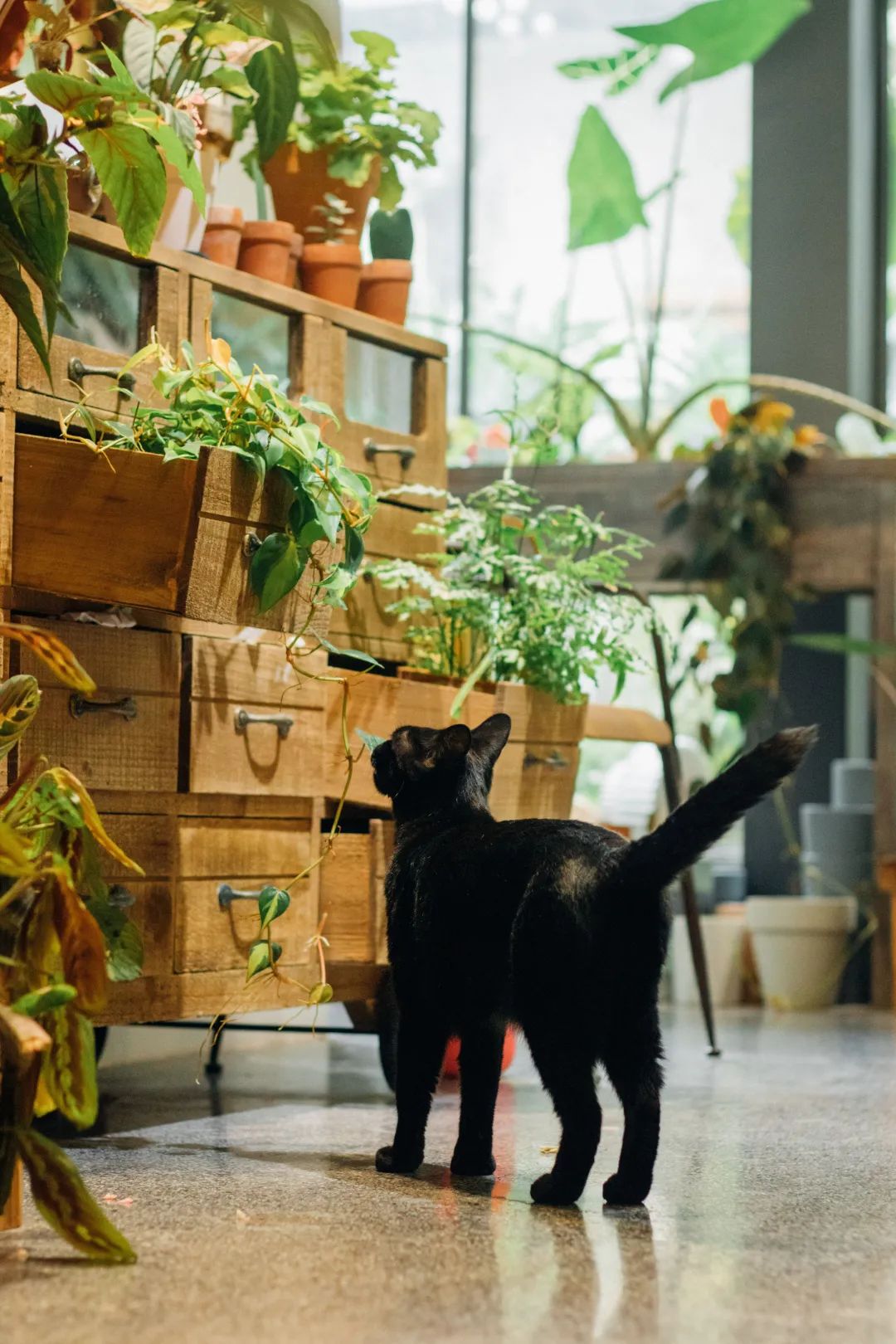 广东还活着的独立书店，可能有35家