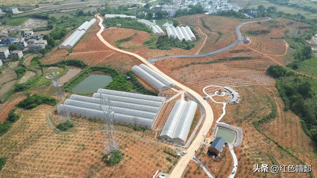 庐山市新开工项目,江西庐山重大项目