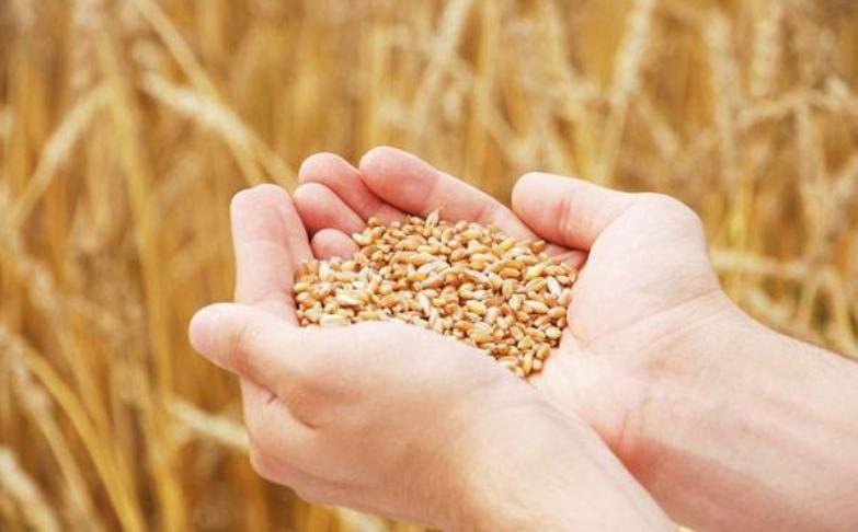 一个日本经济学家的深度疑惑:中国人究竟哪来这么多的钱?